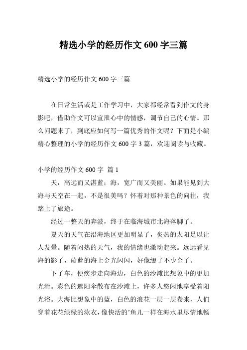 精选小学的经历作文600字三篇