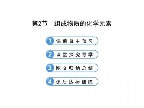 32组成物质的化学元素(沪教版九年级上)(共28张PPT).