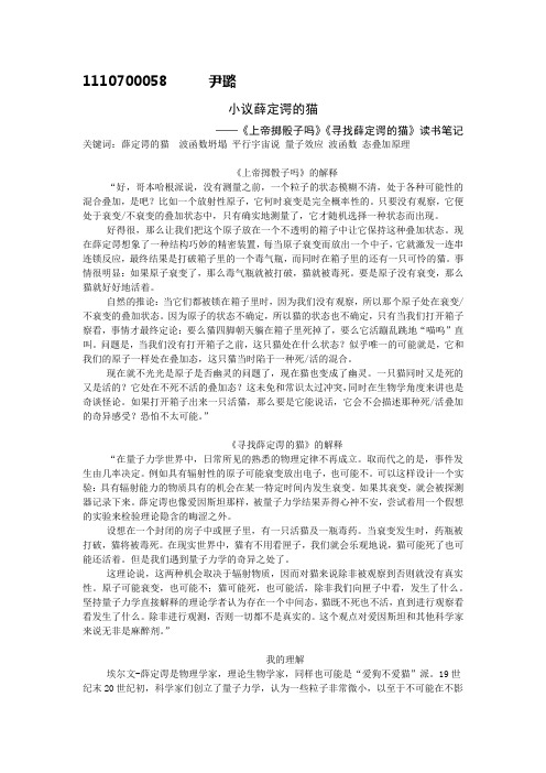 小议薛定谔的猫