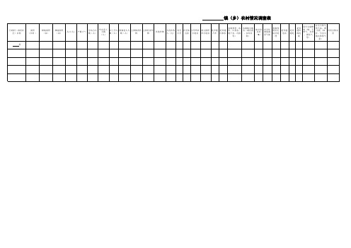 农村情况调查总表(到村)