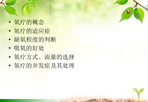 氧气吸入疗法及并发症的处理PPT.