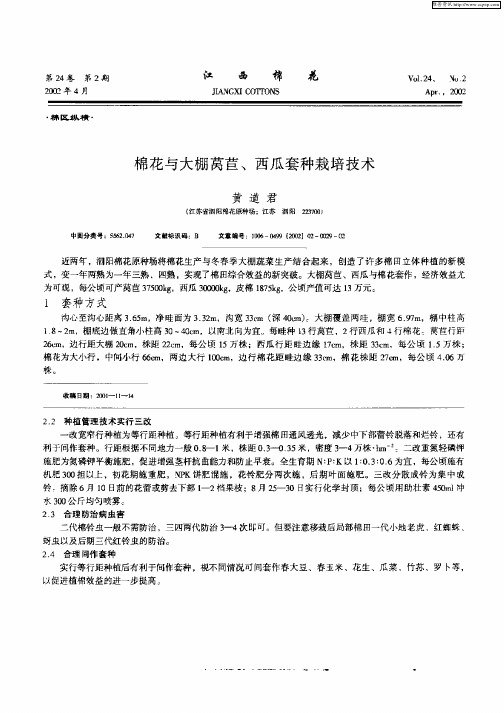 棉花与大栅莴苣、西瓜套种栽培技术