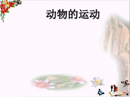 六年级科学上册动物的运动ppt课件1青岛版