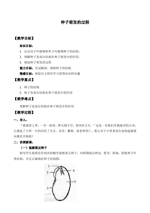 冀少版八年级生物上册：3.1.1 种子萌发的过程  教案