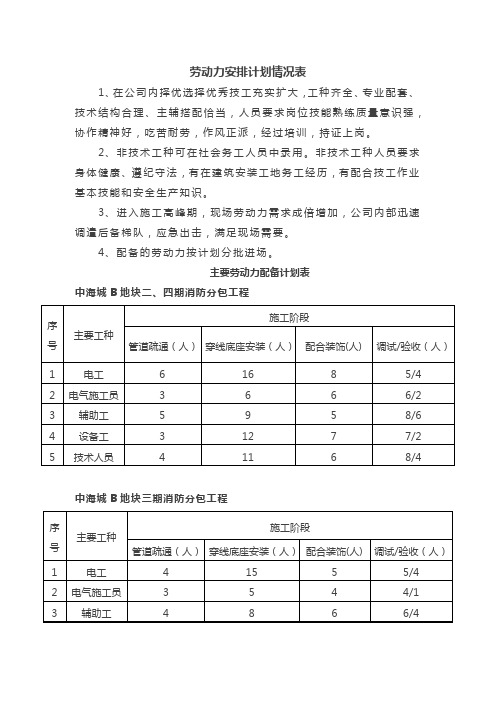 劳动力安排计划情况表