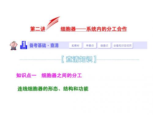 2015届《三维设计》高考生物一轮精品课件：1.2.2细胞器--系统内的分工合作