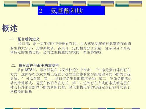 2氨基酸和肽