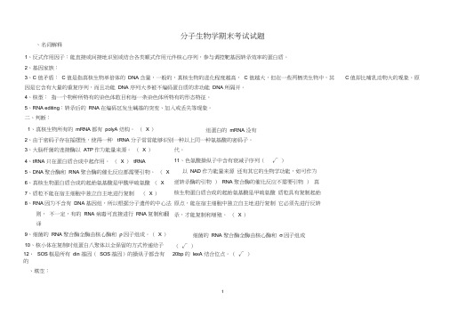 (完整版)分子生物学期末试题