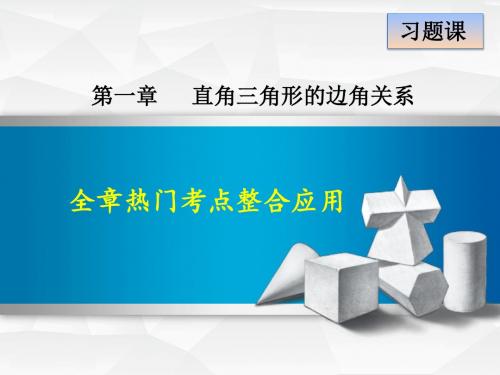 北师大版九年级数学下册第1章  全章热门考点整合应用 (共27张PPT)