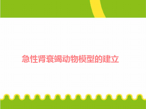 机能学设计性实验急性肾衰竭动物模型的建立讲解