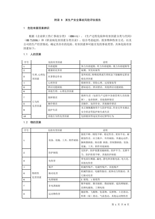 某公司生产安全事故风险评估报告