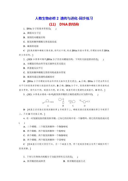 人教生物必修2 遗传与进化-同步练习(11) DNA的结构