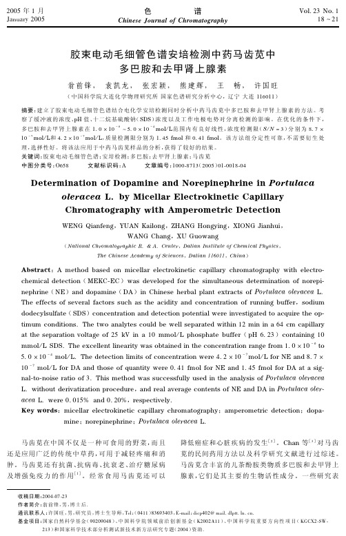 胶束电动毛细管色谱安培检测中药马齿苋中多巴胺和去甲肾上腺素