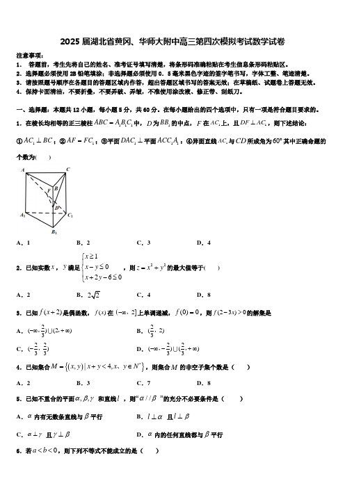 2025届湖北省黄冈、华师大附中高三第四次模拟考试数学试卷含解析