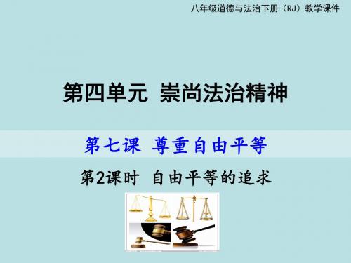 人教版道德与法治八年级下册7.2：自由平等的追求课件(共13张PPT)