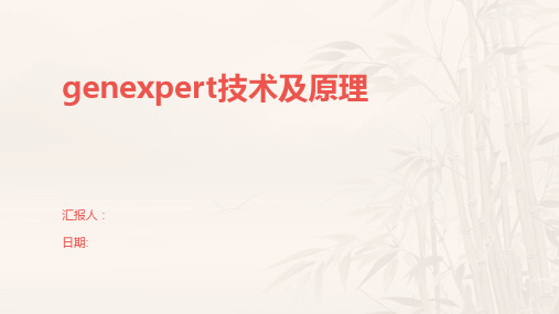 genexpert技术及原理