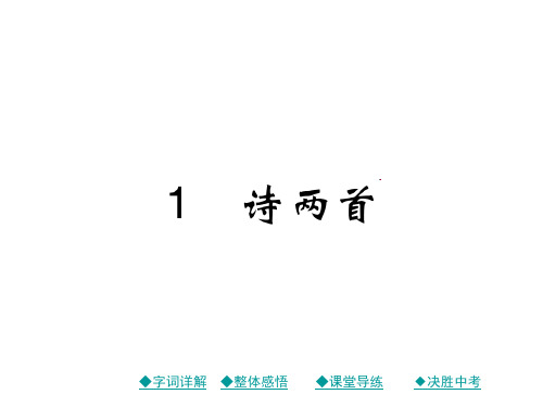 新人教版九年级语文下册1 诗两首公开课课件