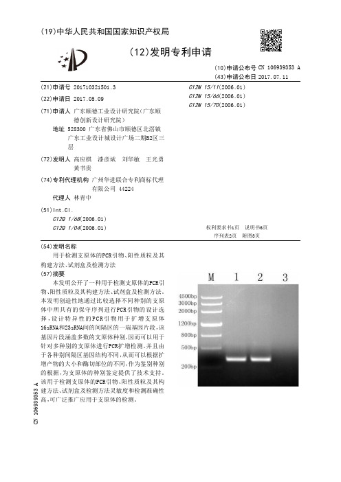 用于检测支原体的PCR引物、阳性质粒及其构建方法、试剂盒及检测方