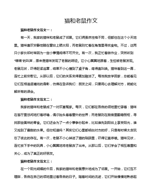 猫和老鼠作文