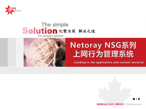 Netoray NSG 上网行为管理系统产品介绍