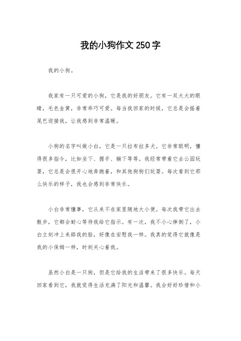 我的小狗作文250字