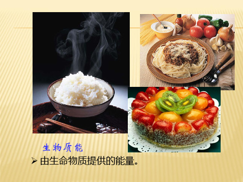 人教版九年级物理下册《处不在的能量 第十七章 能源与可持续发展 一、能源家族》课件_1
