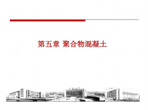 聚合物混凝土要点_2023年学习资料