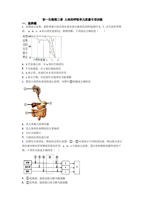 初一生物第三章-人体的呼吸单元质量专项训练