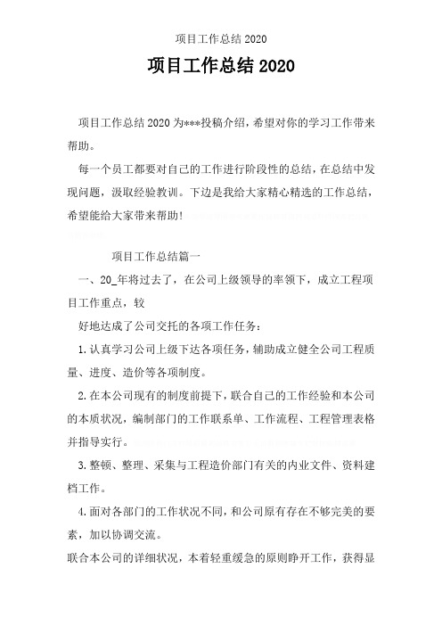 项目工作总结2020