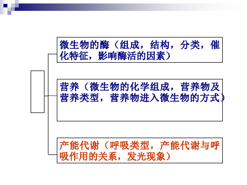 微生物的生理3精品PPT课件