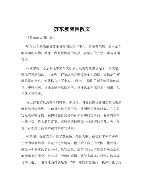 苏东坡突围散文