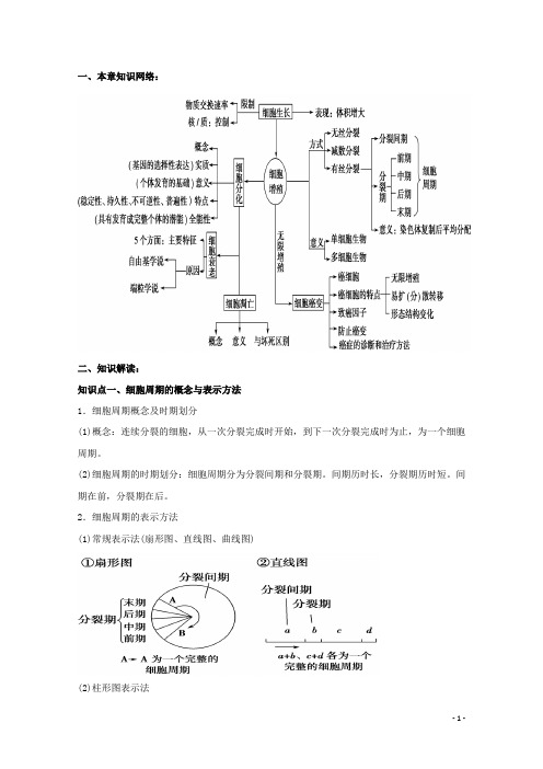 高中生物 第六章细胞的生命历程期末知识梳理 新人教版必修1