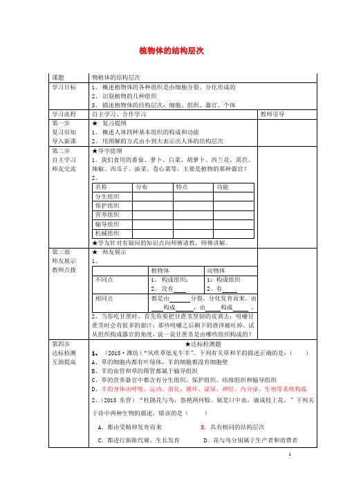 七年级生物上册 2.2.3 植物体的结构层次学案(无答案)(