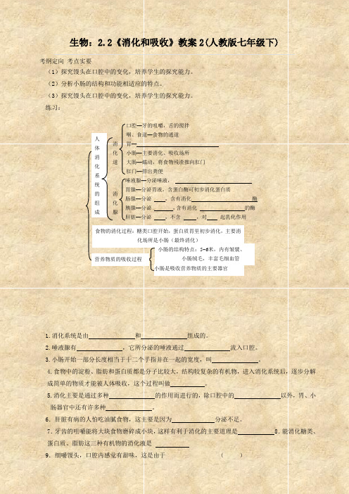 生物：2.2《消化和吸收》教案2(人教版七年级下)