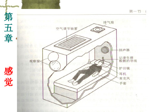 五感觉精品PPT课件