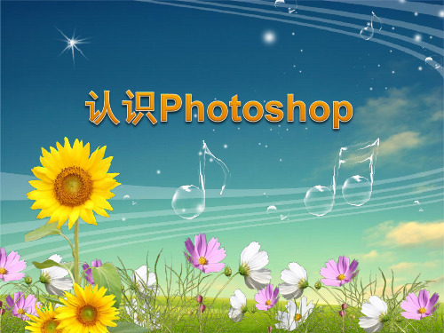 初中信息技术 认识Photoshop 教学PPT课件