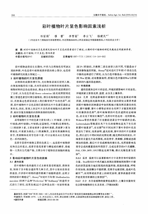 彩叶植物叶片呈色影响因素浅析