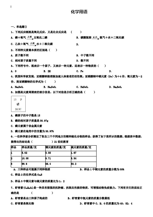 中考化学专题复习：化学用语(含答案)