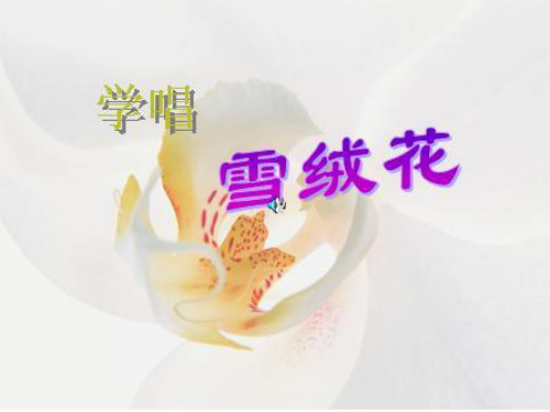 《雪绒花》音乐精品PPT课件