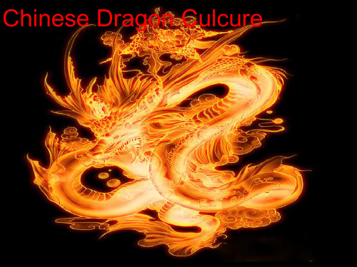 中国龙文化chinese dragon