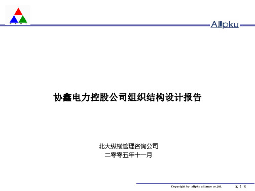 讲座--3-协鑫电力控股公司组织结构设计报告-终稿学习文档