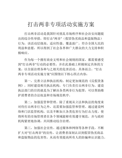 打击两非专项活动实施方案