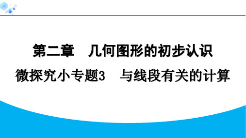 2024年七年级数学上册第二章几何图形的初步认识复习题及答案解析微探究小专题3与线段有关的计算