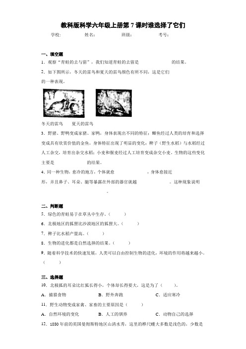 教科版科学六年级上册第7课时谁选择了它们