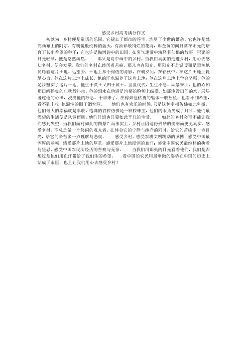 感受乡村高考满分作文