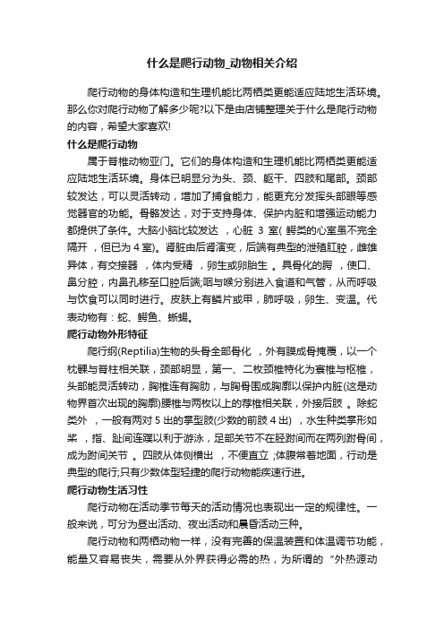 什么是爬行动物_动物相关介绍