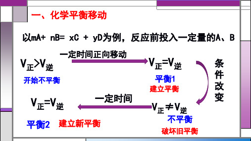 影响化学平衡的因素