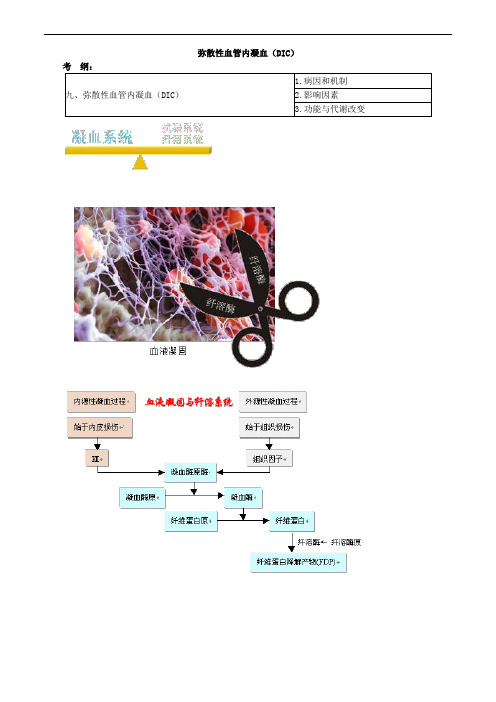 病理生理学-弥散性血管内凝血(DIC)