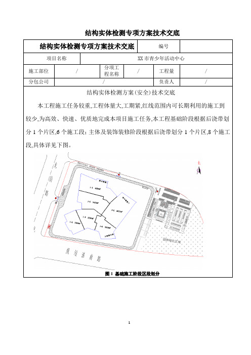 结构实体检测方案安全技术交底(精品)