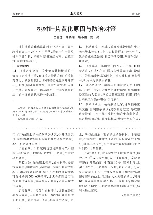 桃树叶片黄化原因与防治对策